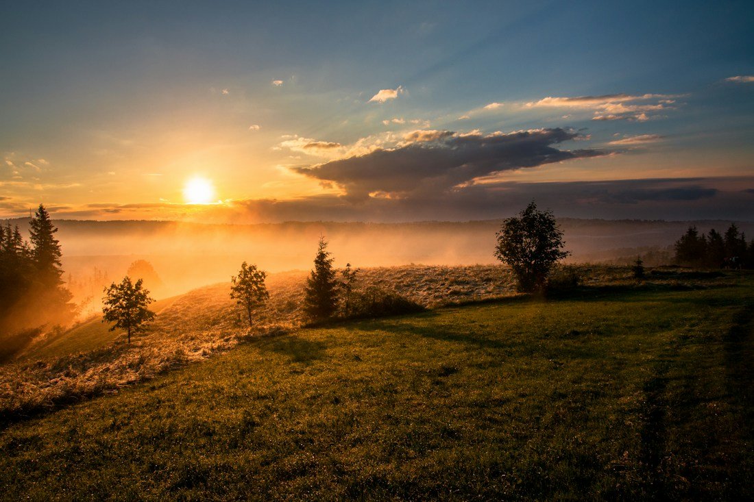 Soft sunlight over a peaceful meadow